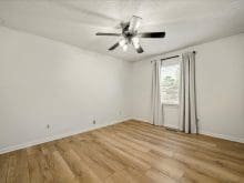 904 Misty Springs Road Knoxville, TN 37932 - Photo 14